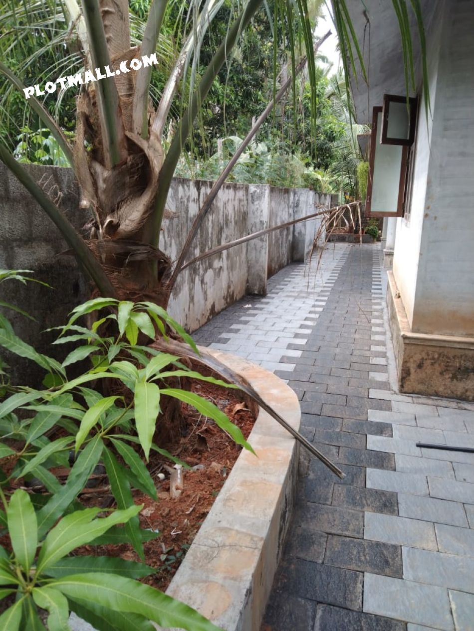 Back Side View (left Side Facing Entrance)  Of The House With Small Garden Area