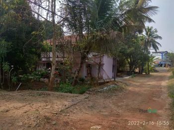 8 Cent Residential Land for Sale at Angamaly Budget - 600000 Cent