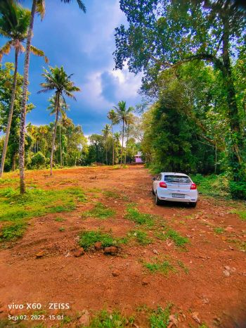 50 cent Cent Residential Land for Sale at Ankamaly Budget - 180000 Cent