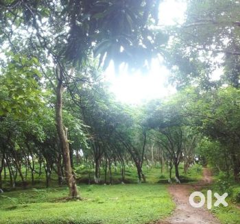 1.5 Acre Residential Land for Sale at Kongad Budget - 9000000 Total