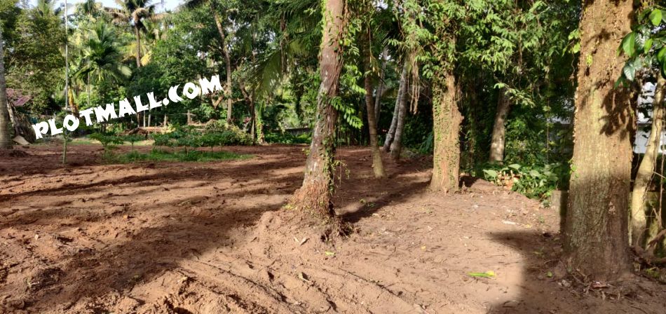 Residential Land For Sale