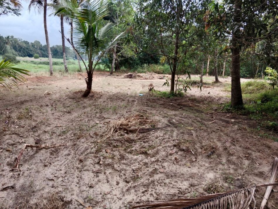 Residential Land For Sale