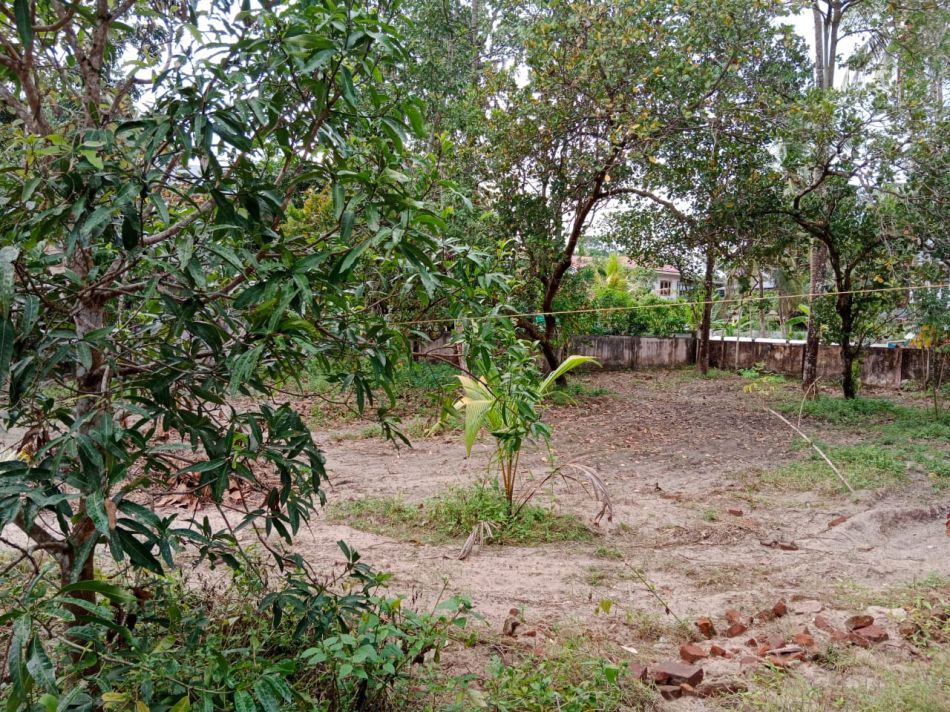 Residential Land For Sale