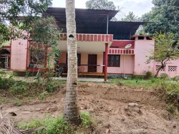84 Cent Residential Land for Sale at Mannar Budget - 20000000 Total