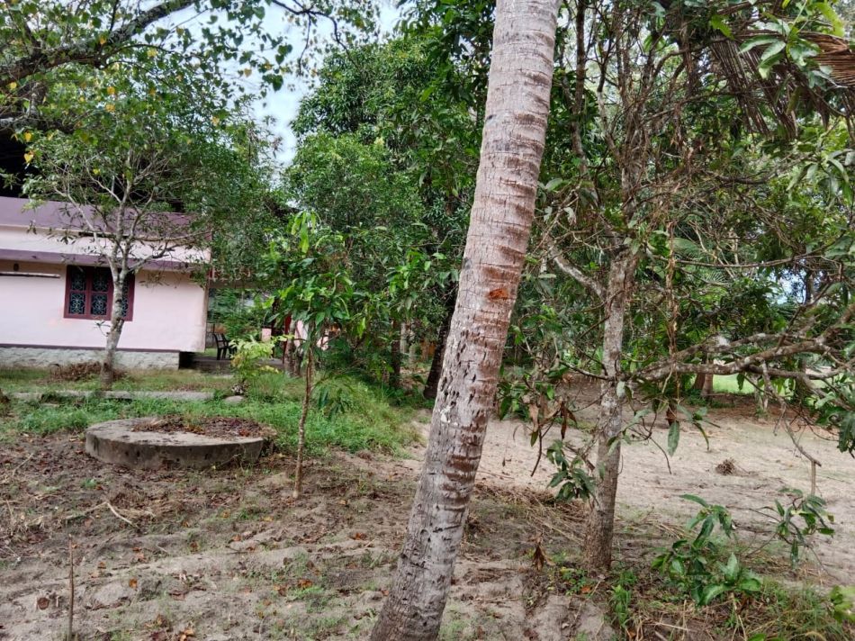 Residential Land For Sale