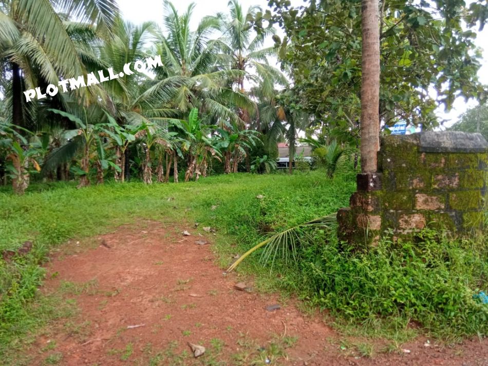 Residential Land For Sale