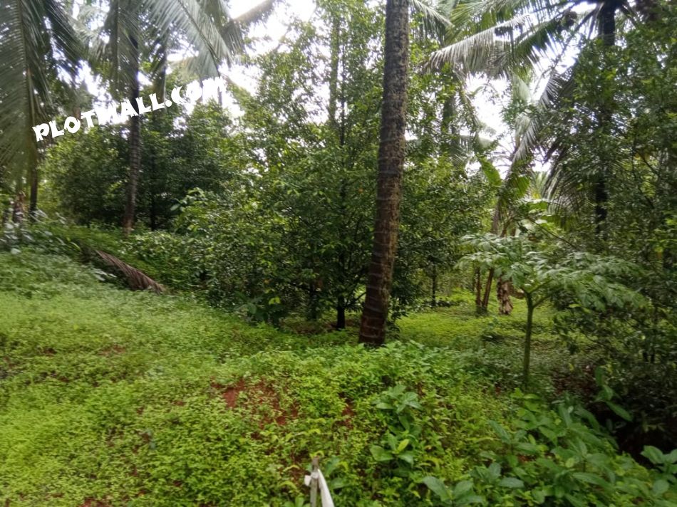 Residential Land For Sale