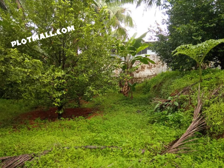 Residential Land For Sale