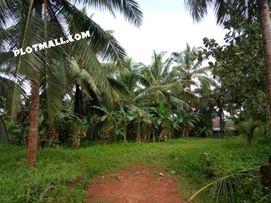 Residential Land For Sale