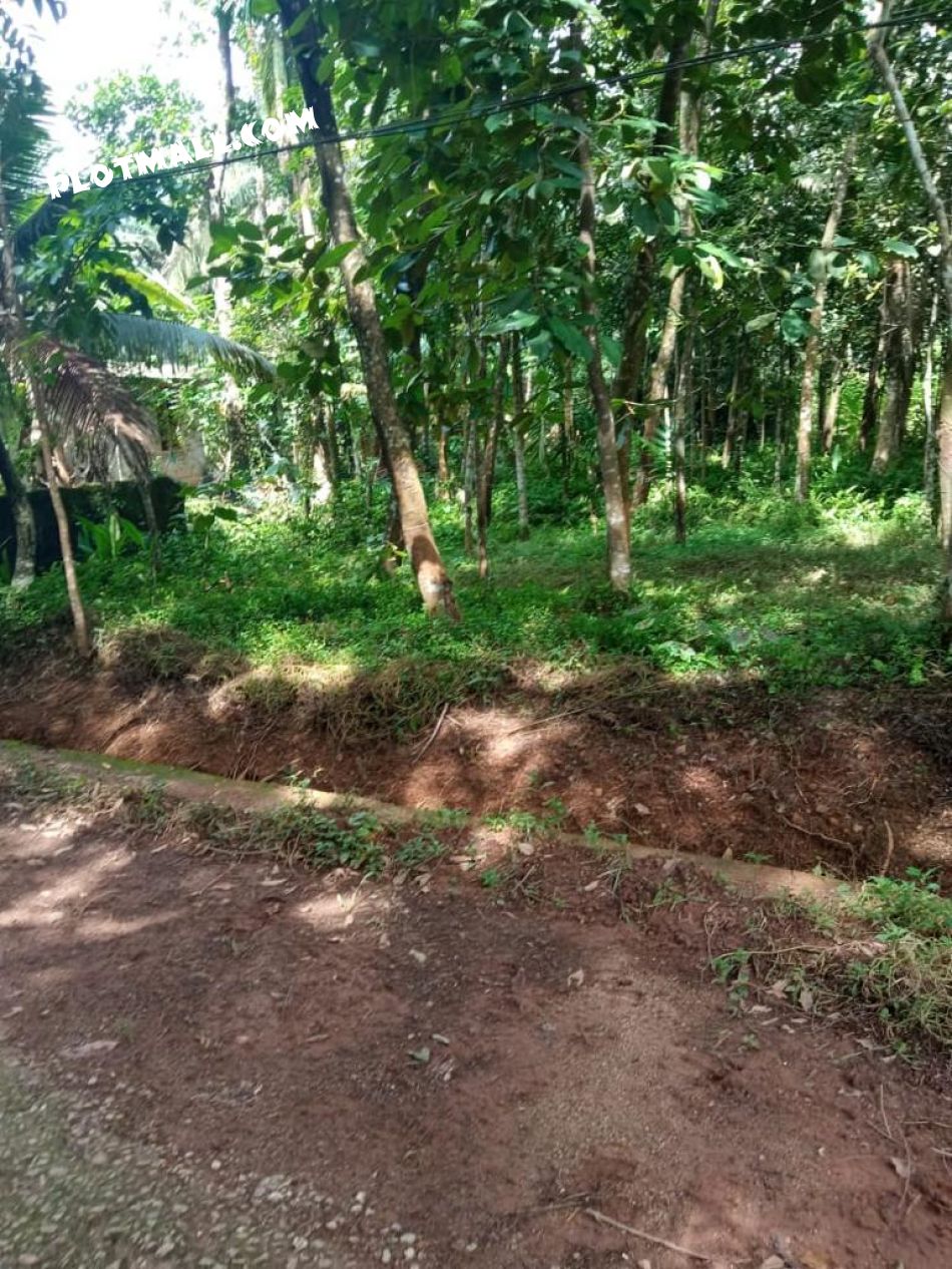 Residential Land For Sale