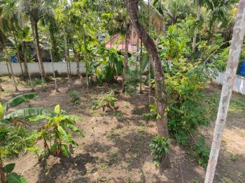 5.9774 Cent Residential Land for Sale at Perumpadanna Budget - 400000 Cent