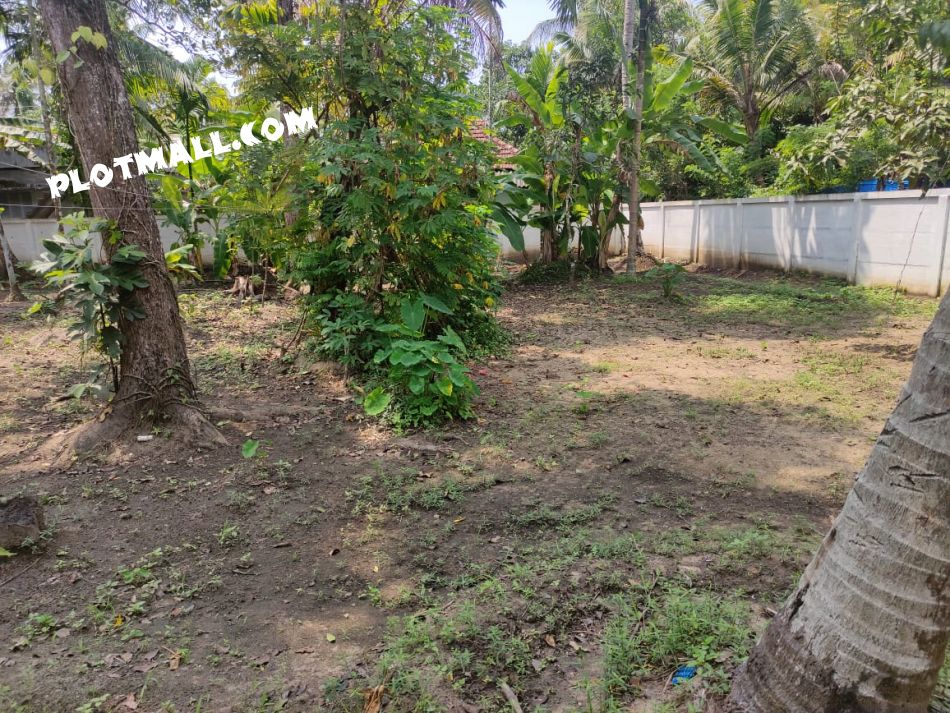 Residential Land For Sale