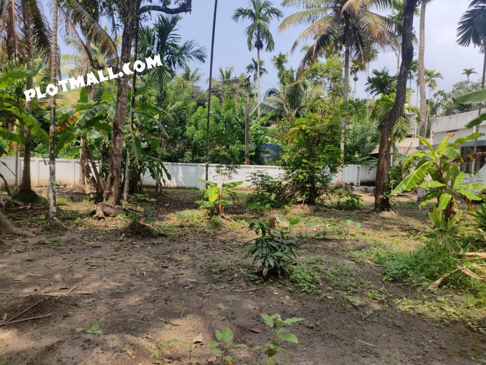 Residential Land For Sale