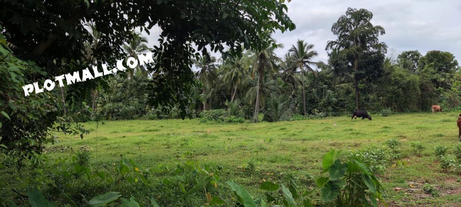 Residential Land For Sale