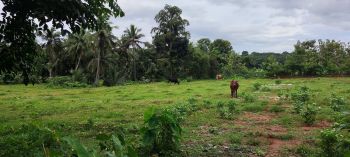 95 Cent Residential Land for Sale at Mudappallur Budget - 135000 Cent