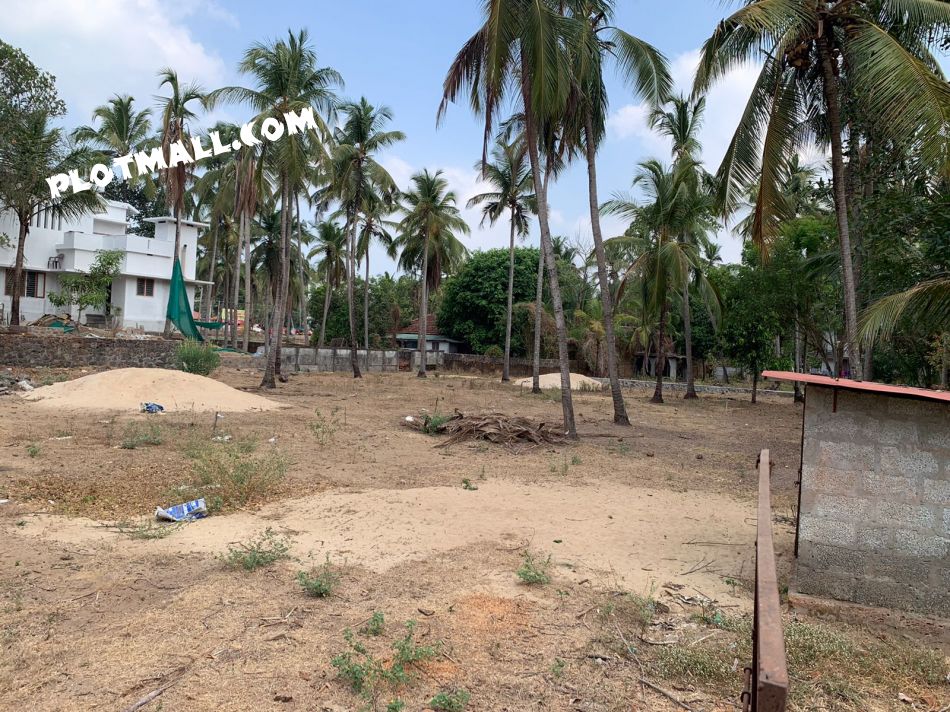 Prime Land For Sale In Thrissur