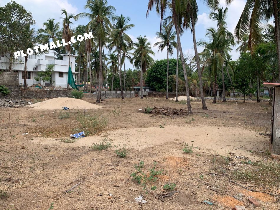 House Plot For Sale In Chavakkad