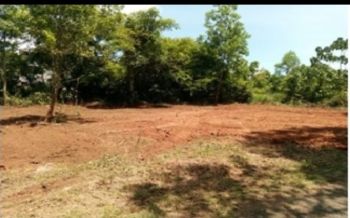 6.775 Cent Residential Land for Sale at Puranattukara Budget - 3200000 Total