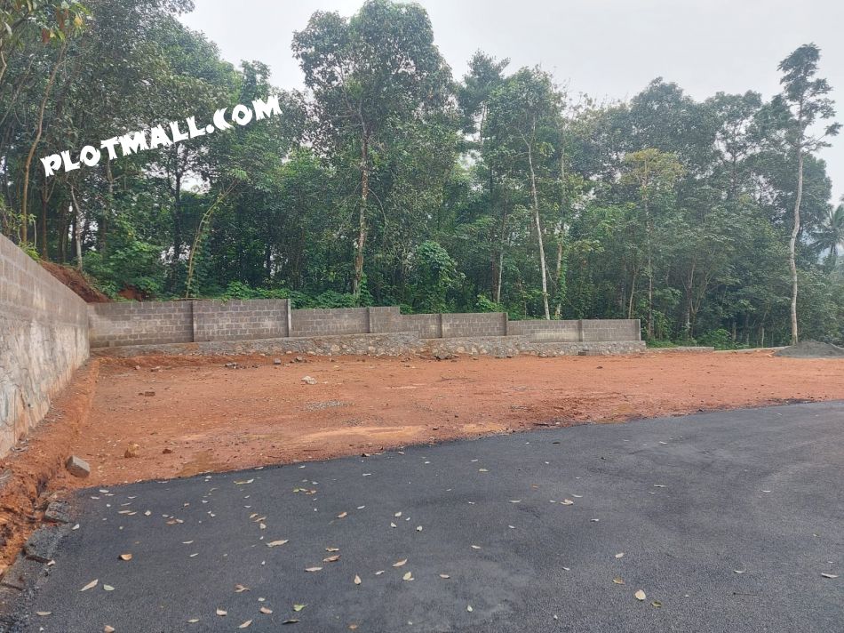 Residential Land For Sale In Adoor
