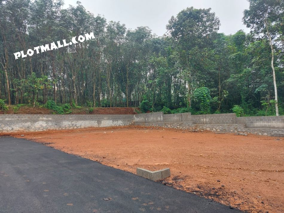 Residential Land For Sale In Adoor

