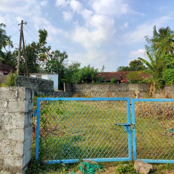 8.6 Cent Residential Land for Sale at Kongad Budget - 475000 Cent
