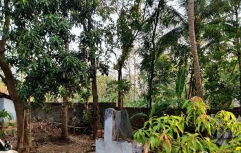 14.18 Cent Residential Land for Sale at Akathethara Budget - 275000 Cent