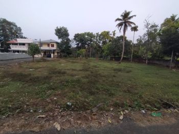 30 Cent Residential Land for Sale at Thrissur Budget - 450000 Cent