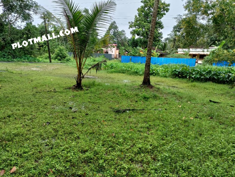 Residential Land For Sale