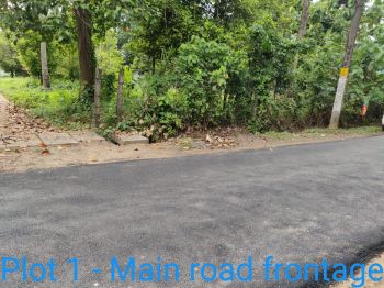 10 Cent Residential Land for Sale at Aluva Budget - 500000 Cent