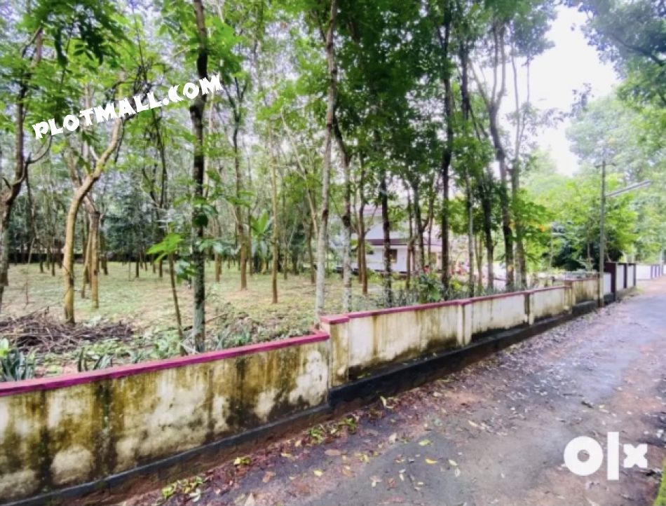 30 Cent Residential Land for Sale at Angamaly Budget - 375000 Cent