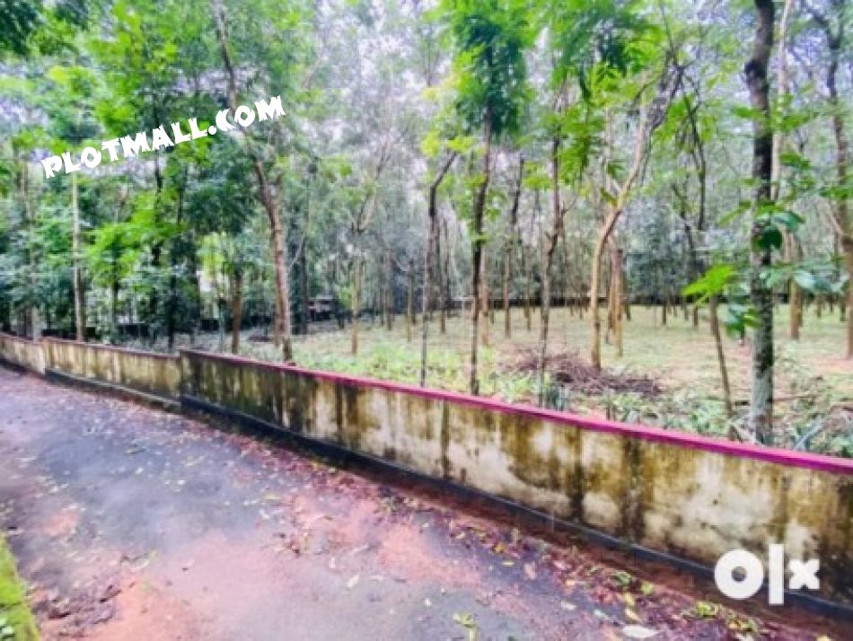 Residential Land For Sale