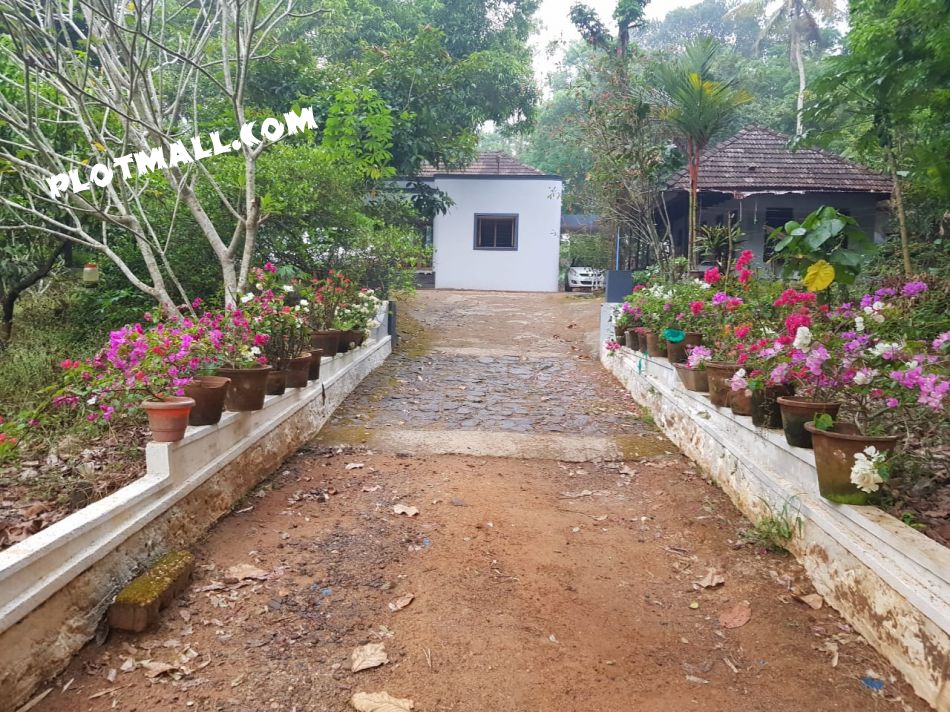 1.6 Acre Residential Land for Sale at Anthiyal Budget - 190000 Cent