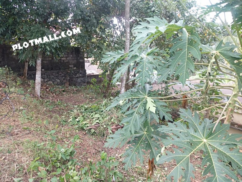 Residential Land For Sale