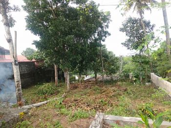 6.5 Cent Residential Land for Sale at Athirampuzha Budget - 300000 Cent