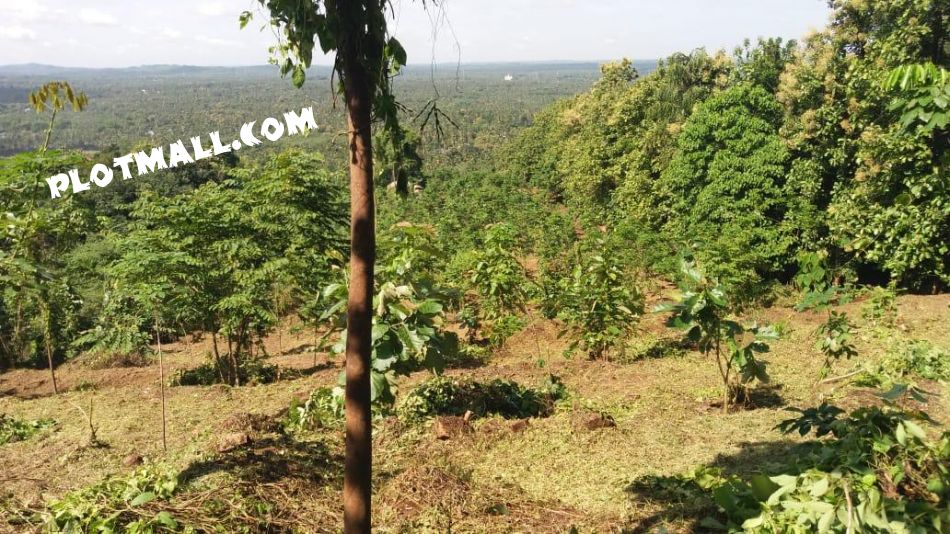 Agricultural Land For Sale