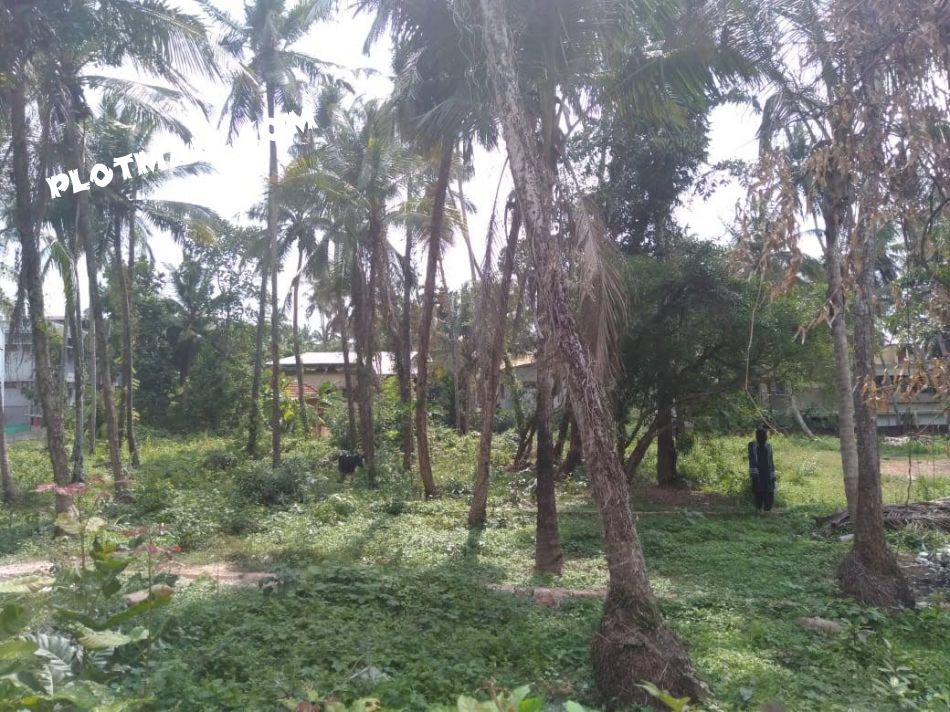 Residential Land For Sale