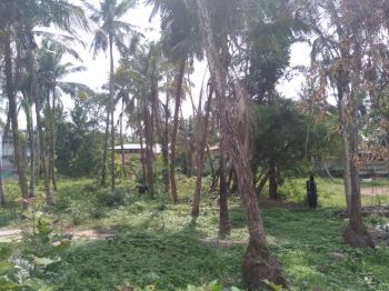 15 Cent Residential Land for Sale at Chalapuram Budget - 2300000 Cent