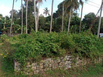 9 Cent Residential Land for Sale at Chathannoor Budget - 900000 Total