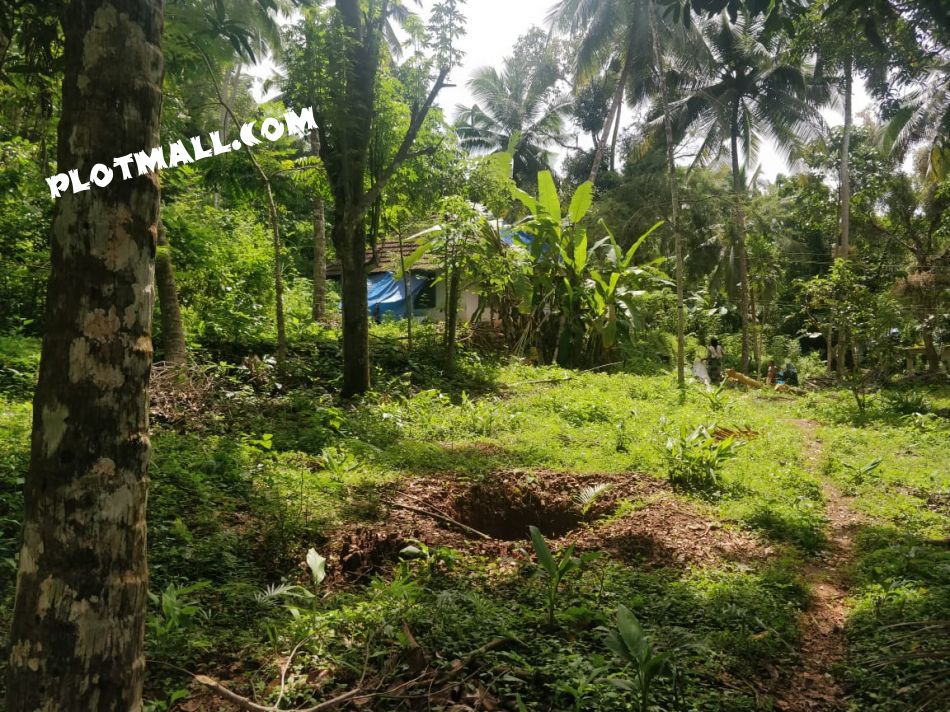 Residential Land For Sale