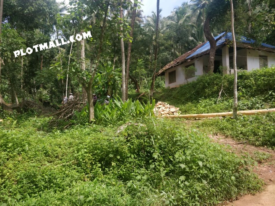 Residential Land For Sale