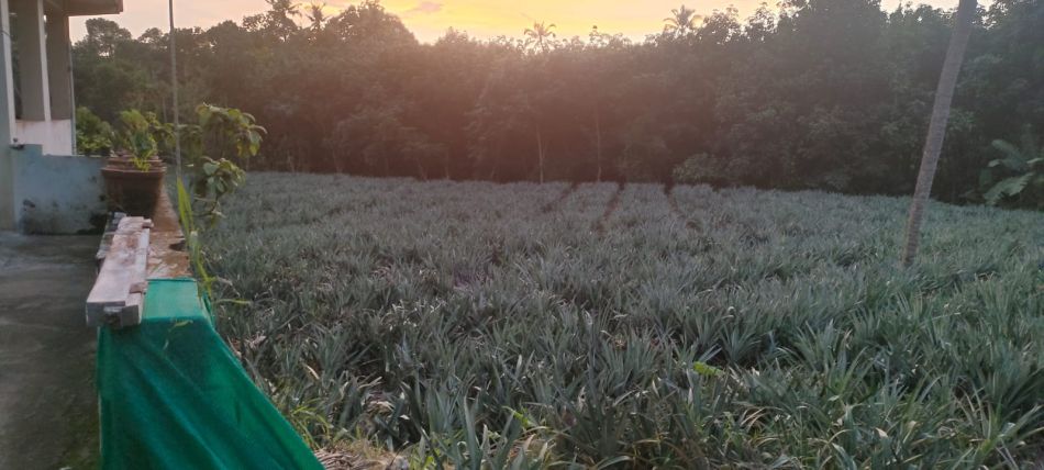 Residential Land For Sale
