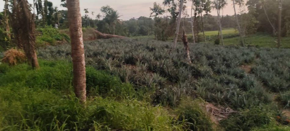 Residential Land For Sale