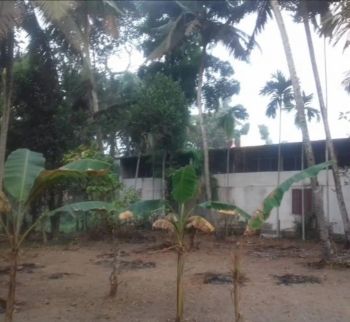 30 Cent Residential Land for Sale at Cheppad Budget - 230000 Cent