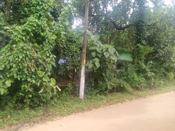 28 Cent Residential Land for Sale at Chittissery Budget - 450000 Cent