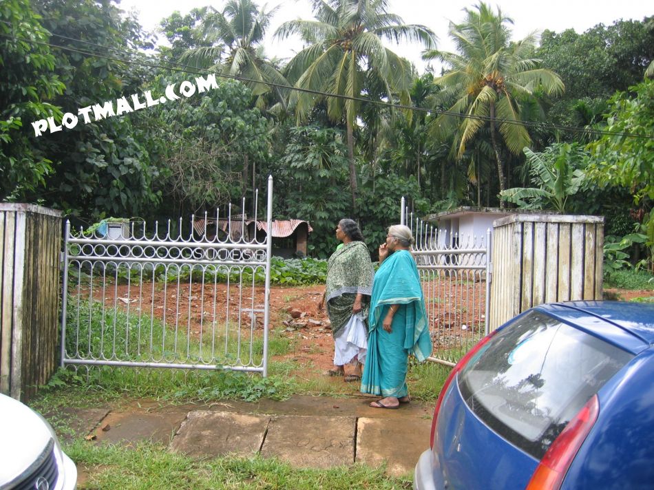 40 Cent Residential Land for Sale at Choondal Budget - 500000 Cent