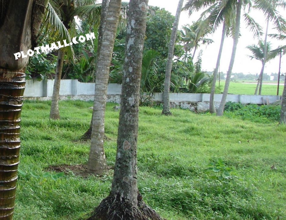 Residential Land For Sale