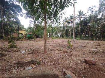 28 Cent Residential Land for Sale at Edackodu Budget - 90000 Cent