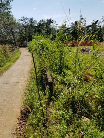 37 Cent Residential Land for Sale at Enadimangalam Budget - 90000 Cent