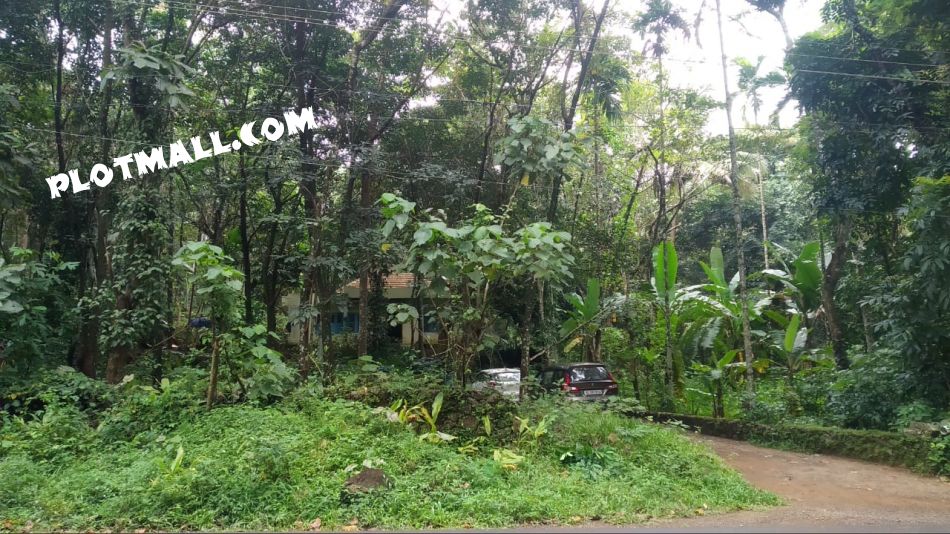 Residential Land For Sale