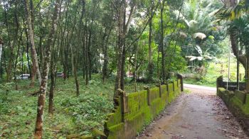 12 Cent Residential Land for Sale at Ezhumattoor Budget - 300000 Cent